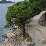 Milenka *