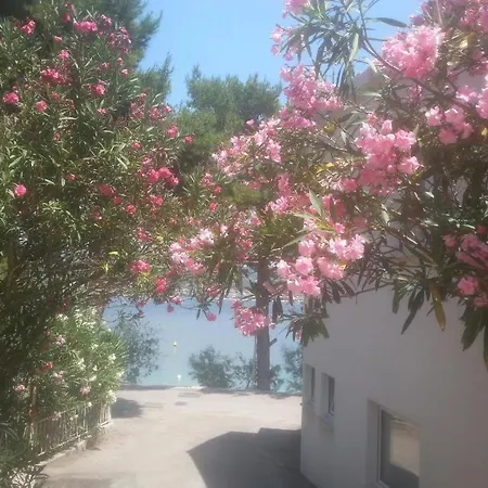 Milenka Apartment Rogoznica (Sibenik-Knin)