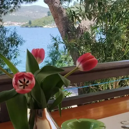 Appartamento Milenka *