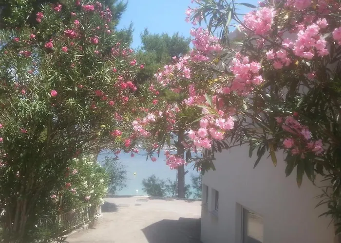 Milenka Appartamento Rogoznica (Sibenik-Knin)