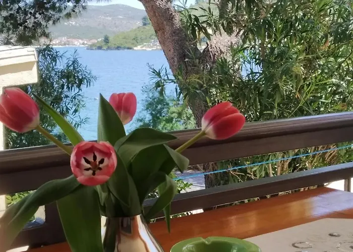 Appartamento Milenka *