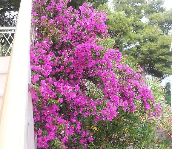 Appartamento Milenka *